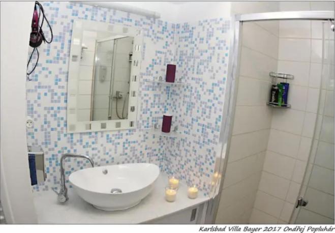 Apartman Vila Bayer Карловы Вары Экстерьер фото