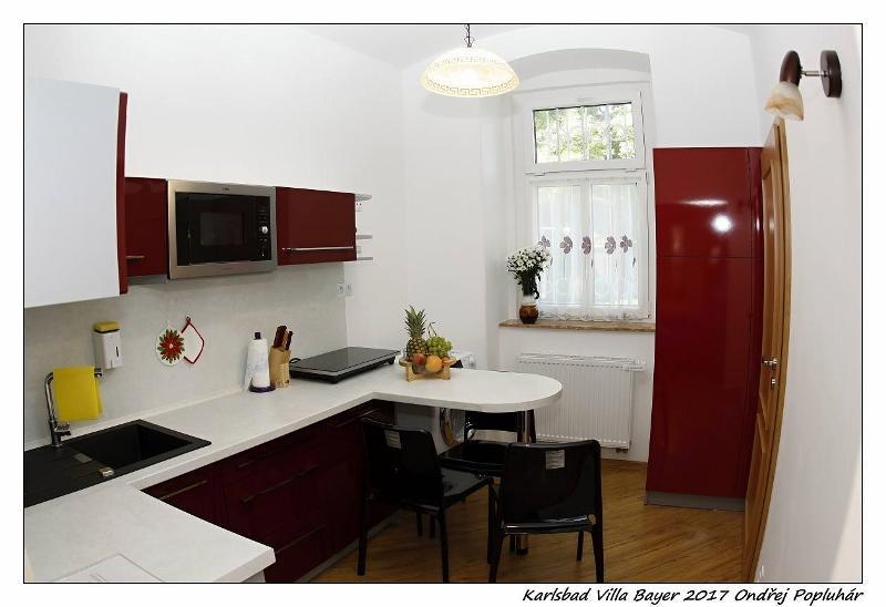 Apartman Vila Bayer Карловы Вары Экстерьер фото