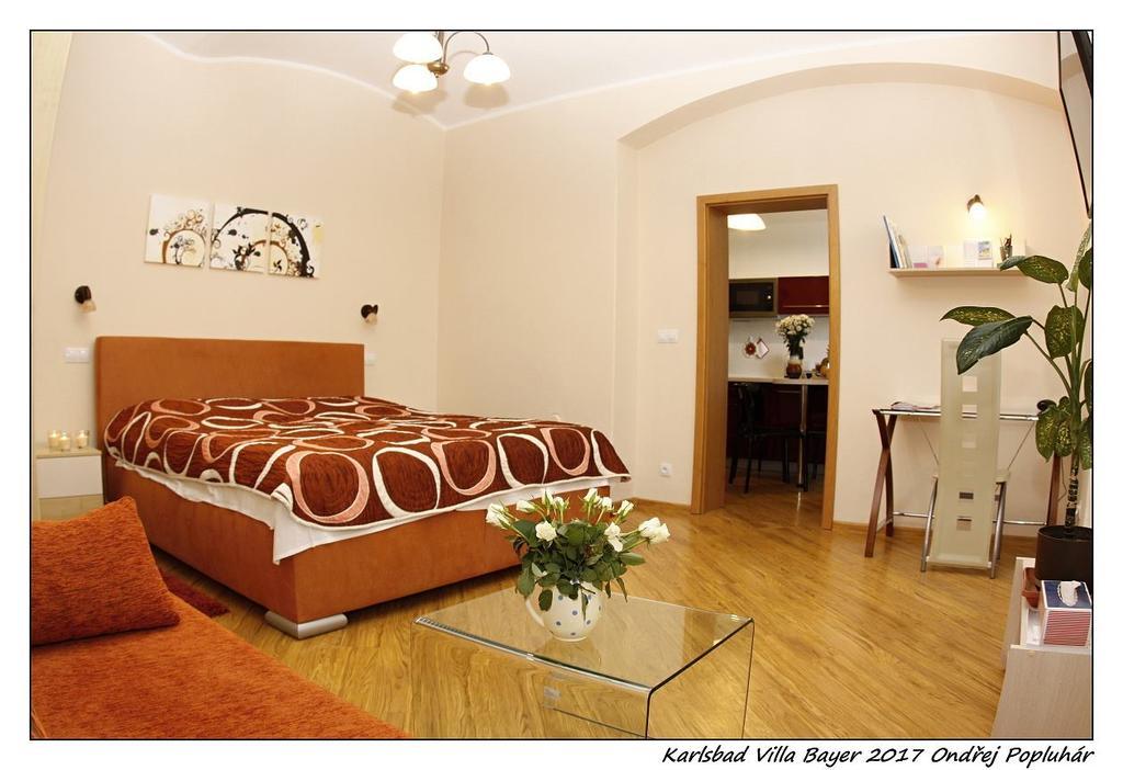 Apartman Vila Bayer Карловы Вары Экстерьер фото